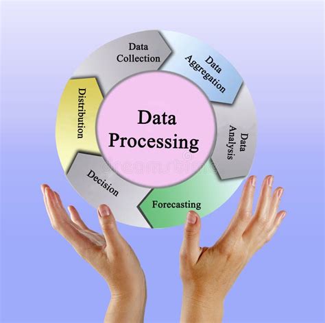 Image result for Main Components of Data