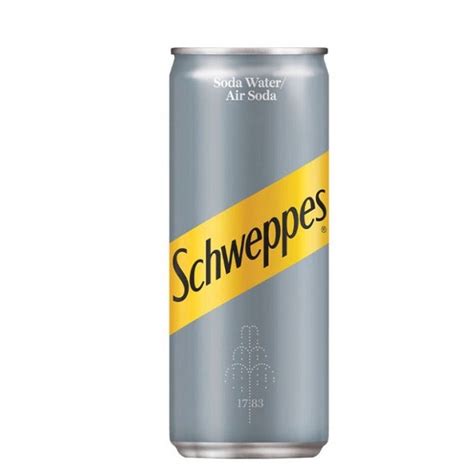 Schweppes Soda Water Can, 320ml – glamshow