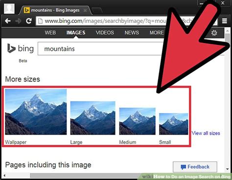 Bing Image Match Search 的图像结果