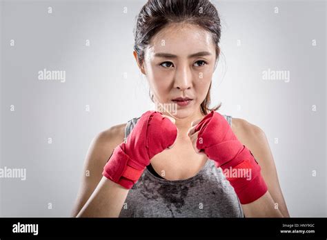 Boxer Portrait 的图像结果