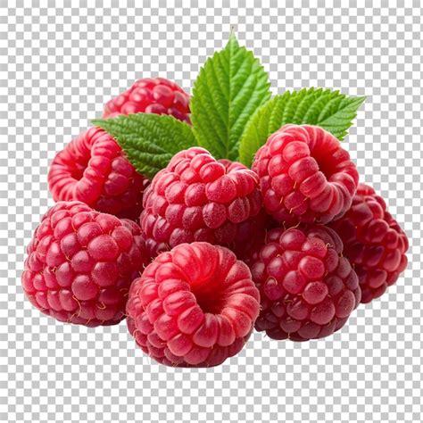 Raspberries isolated on transparent background | Premium AI-generated PSD