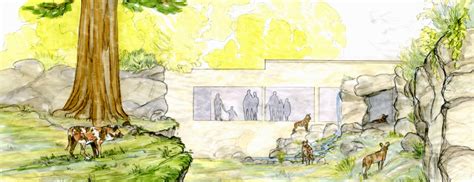 ZooLex Image - Wild Dog Plan