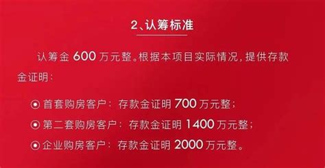2020年末的上海楼市，已经疯了_客户