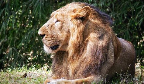 Explore the Historic Moti Daman Fort in Daman | Incredible India