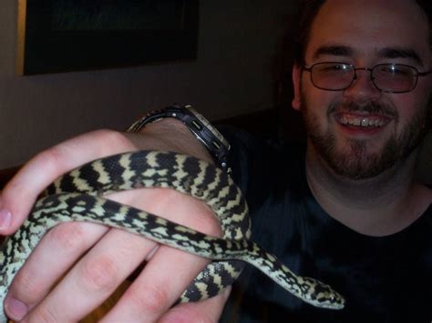 Image result for Jag Python Baby