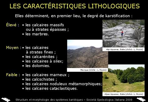 Basque DNA 的图像结果