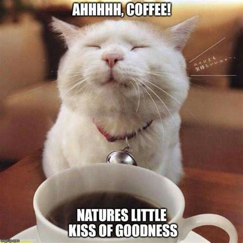 Image result for Java Matches Method