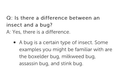 Image result for Bug or Insect