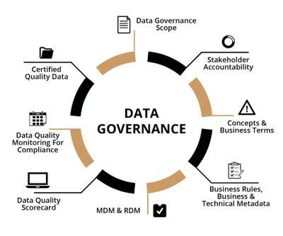 Master Data Management 的图像结果