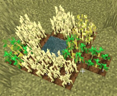 Image result for D Round Farm Minecraft Java 1.17