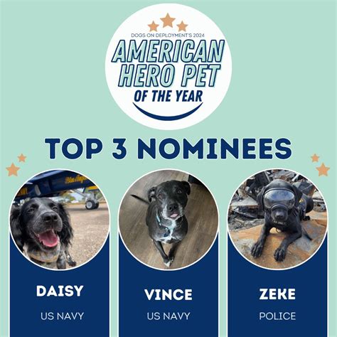 #americanheropetoftheyear #dodmascotcompetition #dogsondeployment #dog ...