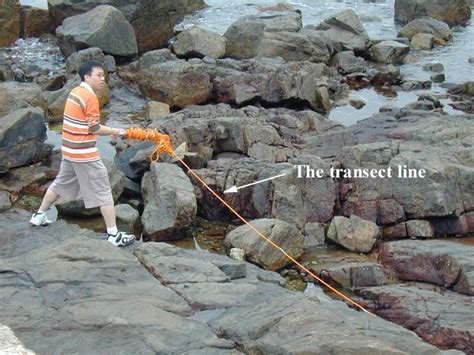 Image result for Line Transect Method