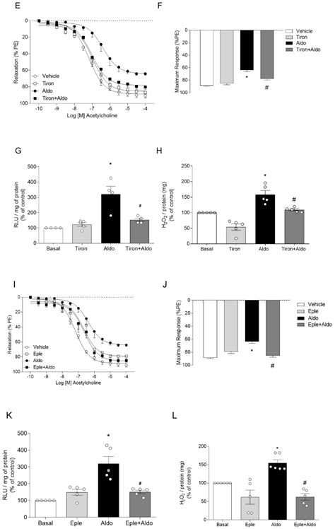 Aldosterone Negatively Regulates Nrf2 Activity: An Additional Mechanism ...