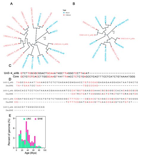 Identification and Characterization of LINE and SINE Retrotransposons ...