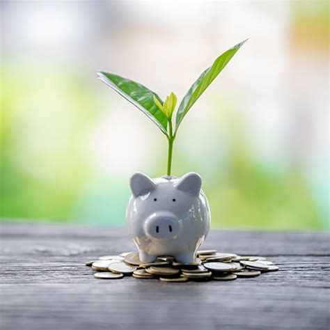Colliers | Sustainability Services