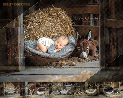 How Do Digital Backdrops Work 的图像结果