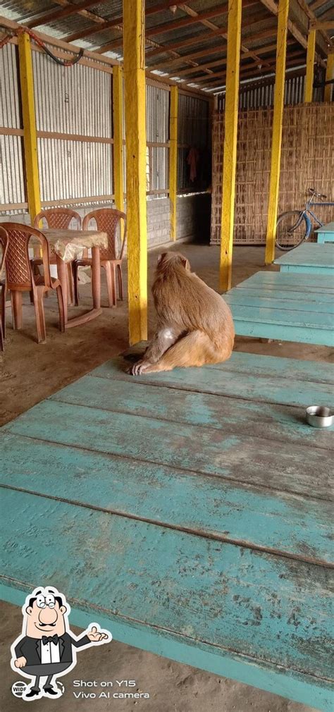 Rajasthan Sharma Hotel(sakahari), Telipara - Restaurant menu, prices ...