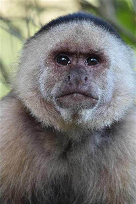 Image result for Alien Crew Outfit