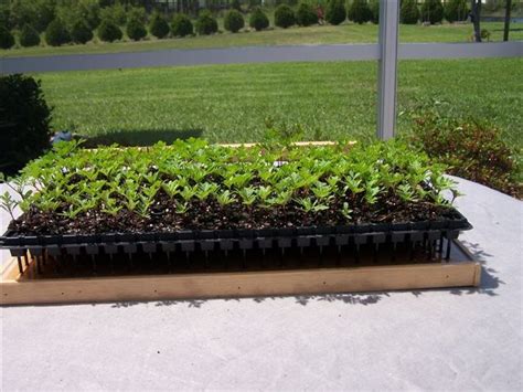 Homemade Farm Tools 的图像结果