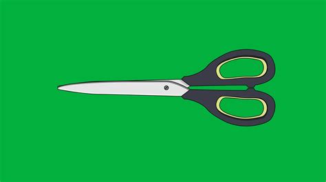Image result for Body Scissors Animation