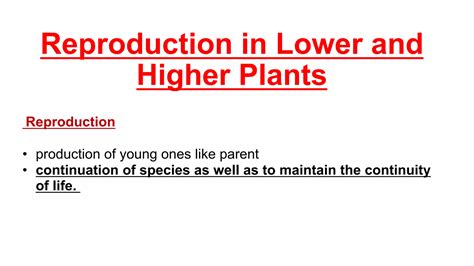 Reproduction in lower and higher plants | PPTX