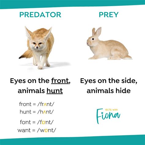 Fiona Wattam on LinkedIn: Does 'front' rhyme with 'font'? I saw this ...