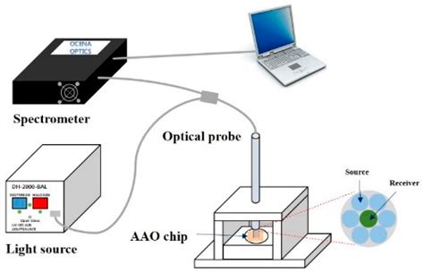Easy-to-Fabricate and High-Sensitivity LSPR Type Specific Protein ...