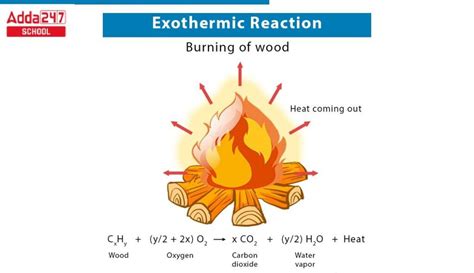 Exothermic Reaction Examples 的图像结果