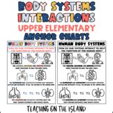 Body System Interaction Chart 的图像结果