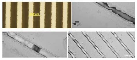 Channel Waveguides in Lithium Niobate and Lithium Tantalate
