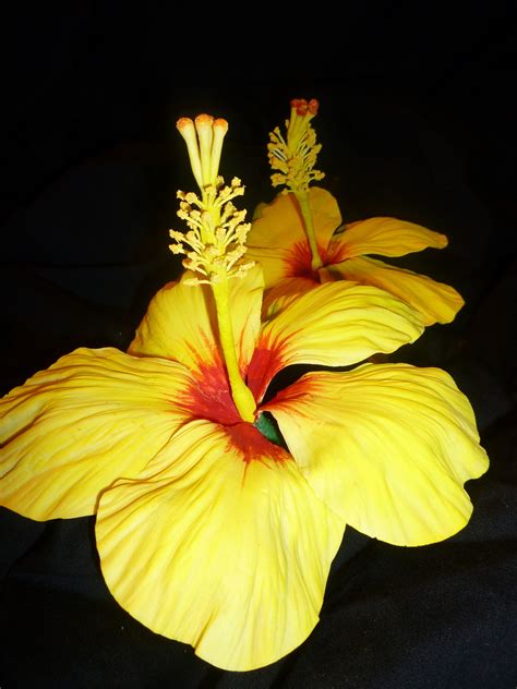 Image result for Gum Paste Hibiscus Flower Tutorial