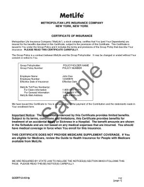 Life Insurance Policy Example 的图像结果