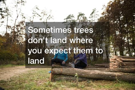 Image result for Tree Felling Injury