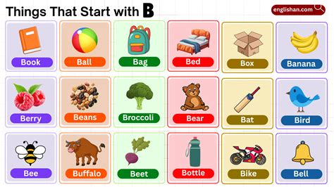 Things that Start with A: Complete List of 550 Words