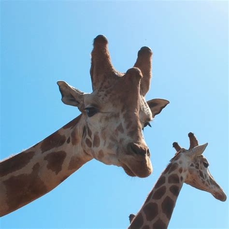 B Bryan Preserve (Point Arena): All You Need to Know