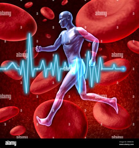 Image result for Circulatory System Animation
