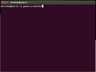 Take a Video Using Linux Command Line 的图像结果