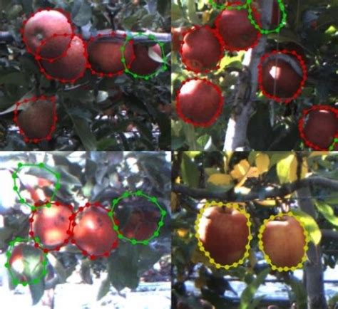 Deep Learning Training Image Labeling Process 的图像结果
