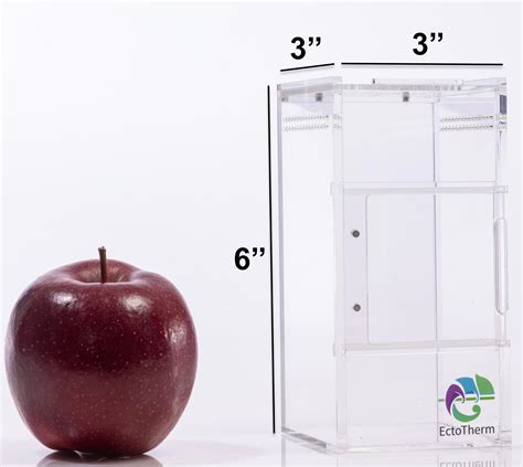 Mua EctoTherm Jumping Spider Enclosure - Complete Acrylic Terrarium Habitat for Spiders ...