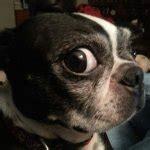 Image result for Side Eye Meme Backyardigans