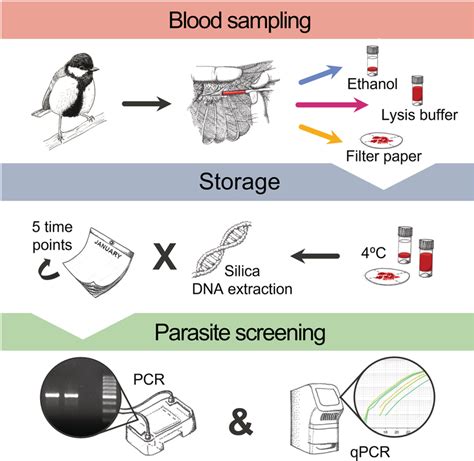 Image result for Sampling Materials Process