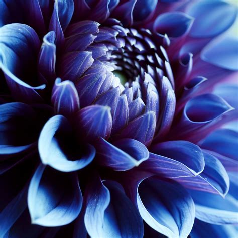 Image Creator from Microsoft Bing