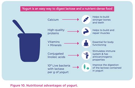 Effects Of Yoghurt