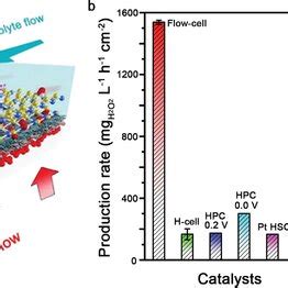 H2O2 Reactor 的图像结果