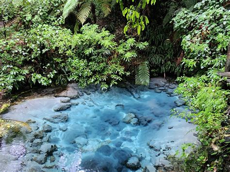 Mitai Maori Village (Rotorua) - All You Need to Know BEFORE You Go