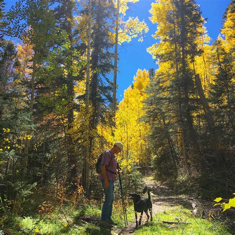 10 Hikes to Explore In and Around Taos, New Mexico - 303 Magazine