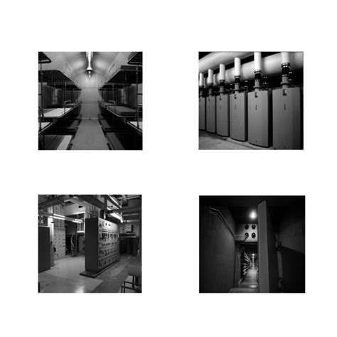 Image result for Extinction Process