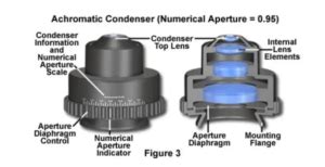 Image result for Condenser Microscope Function