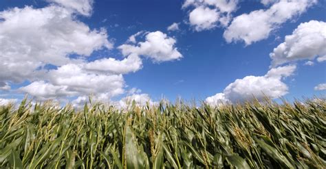 Umweltpolitik – enjoying the postapocalypse