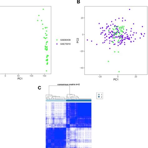 Image result for Setting Up PCA